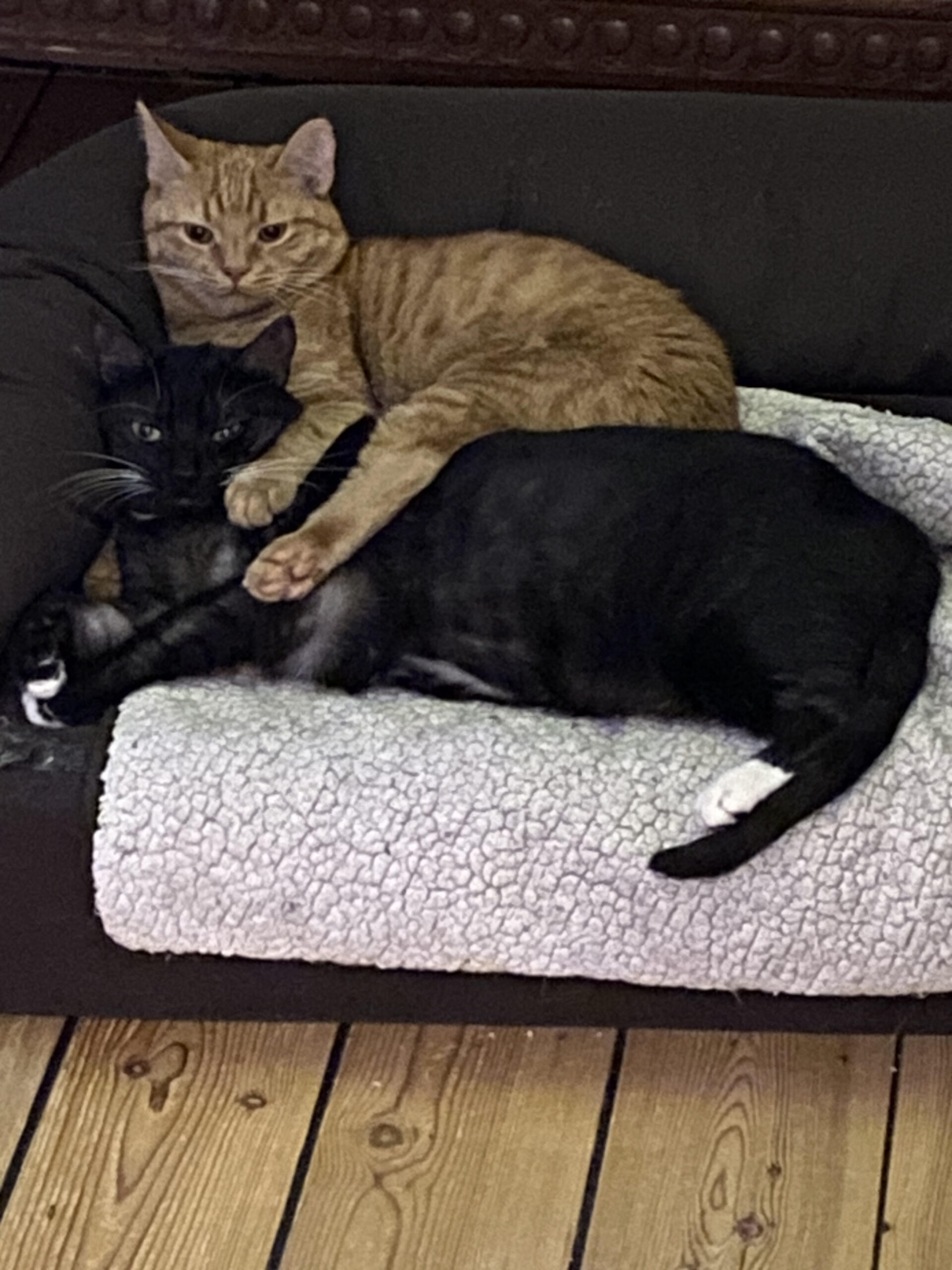 Marius og Manse, Fiffi og Pimpi.